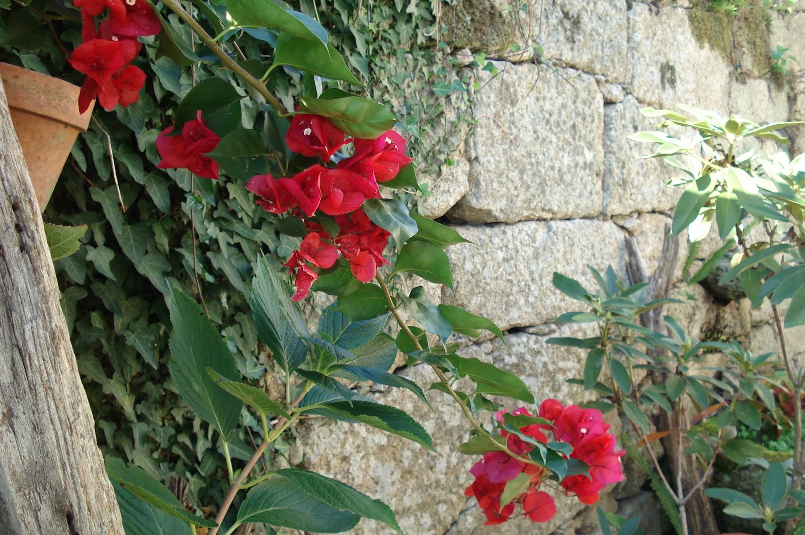 [DSC02637.JPG]