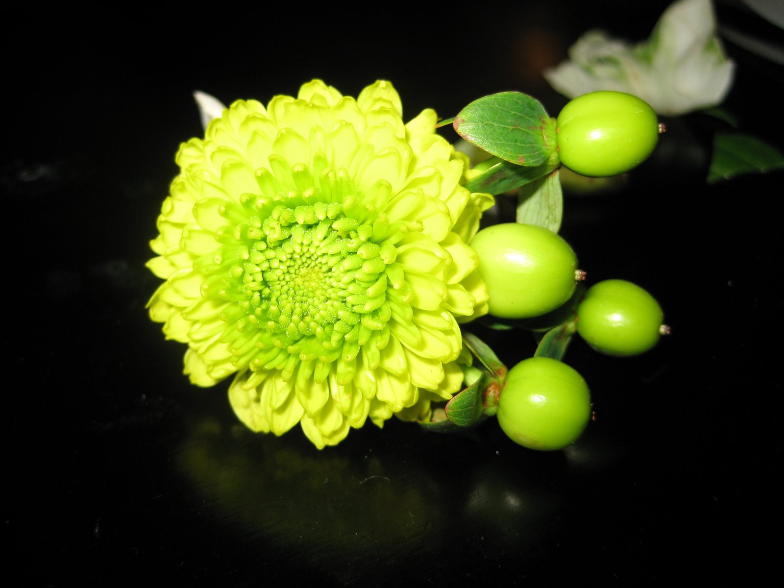 Kermit Mum Boutonniere