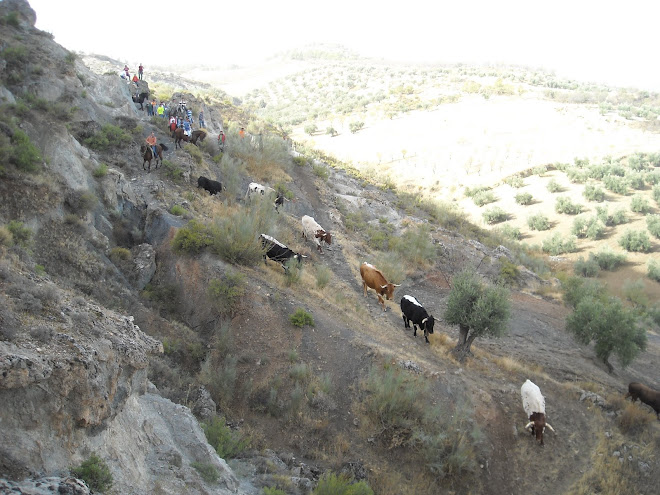 camino a la peza