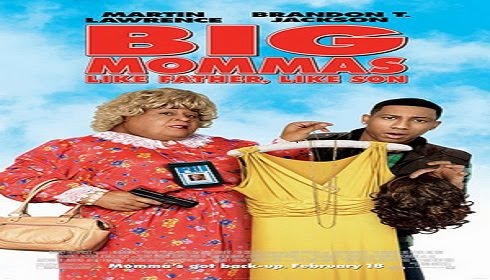 The movie Big Mommas: Like