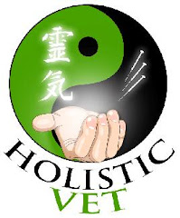 www.holisticvet.cl