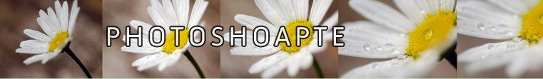 Photoshoapte