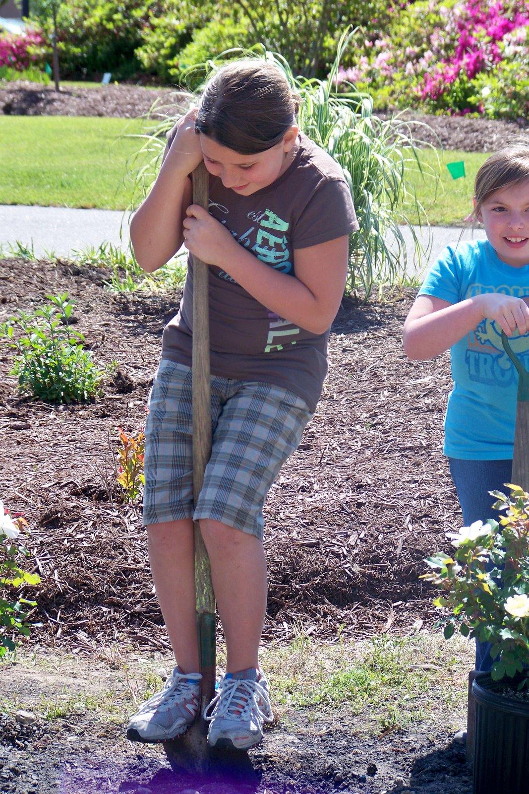 [Brunswick+2+100_0737.jpg]