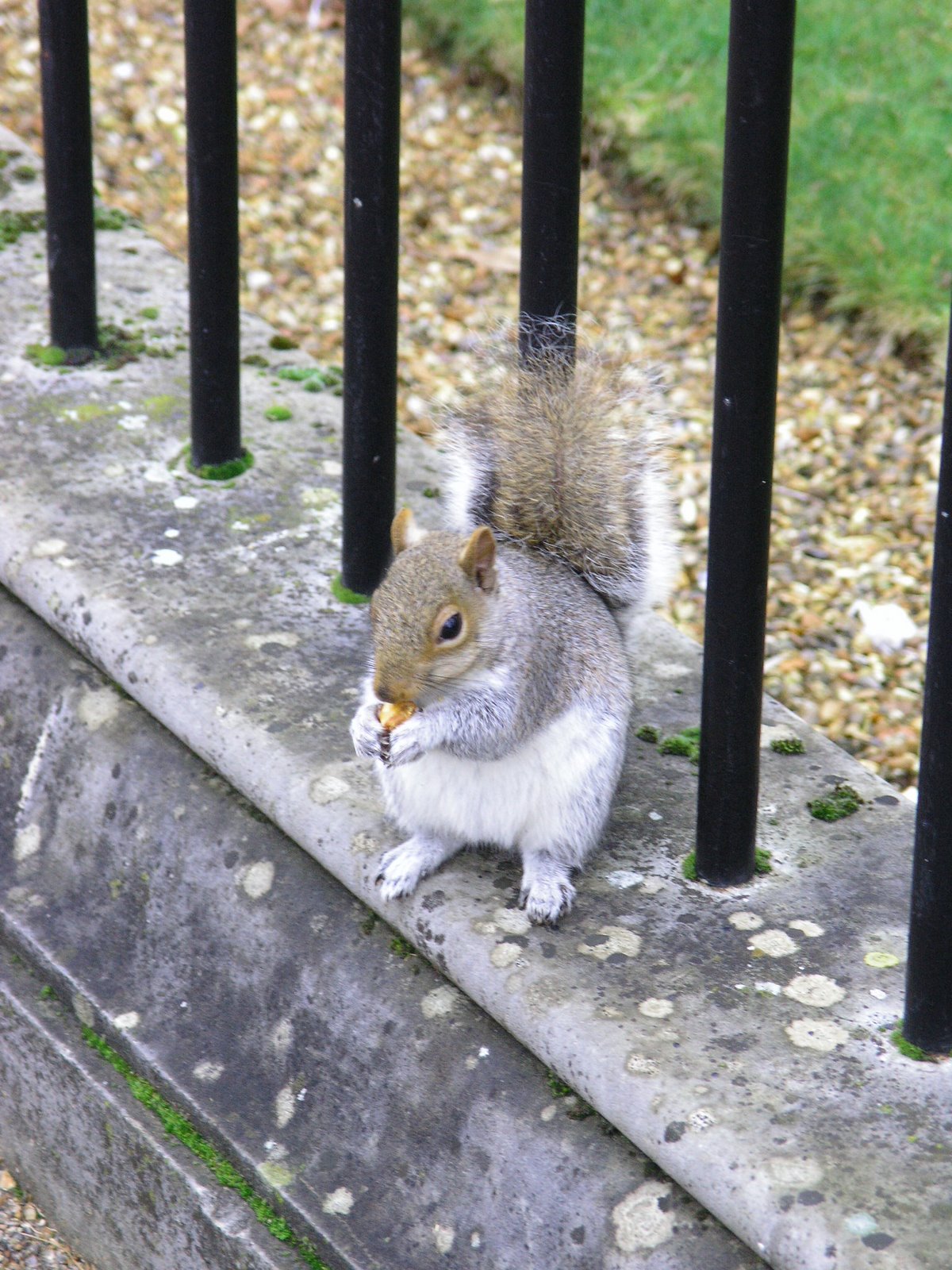 [London+New+Year]