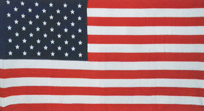 [American.Flag.Beach.Towel.gif]