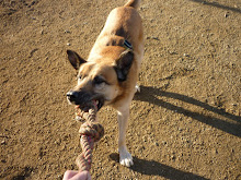 Max: Passeig Pelut. Febrer,10.