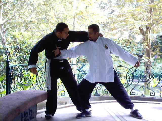 TAI CHI CHUAN  EL ARTE DEL "PUÑO DE ACERO EN EL GUANTE DE SEDA"