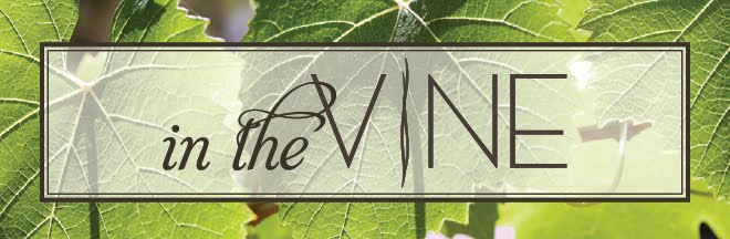 Vine Property Group Blog - In the Vine