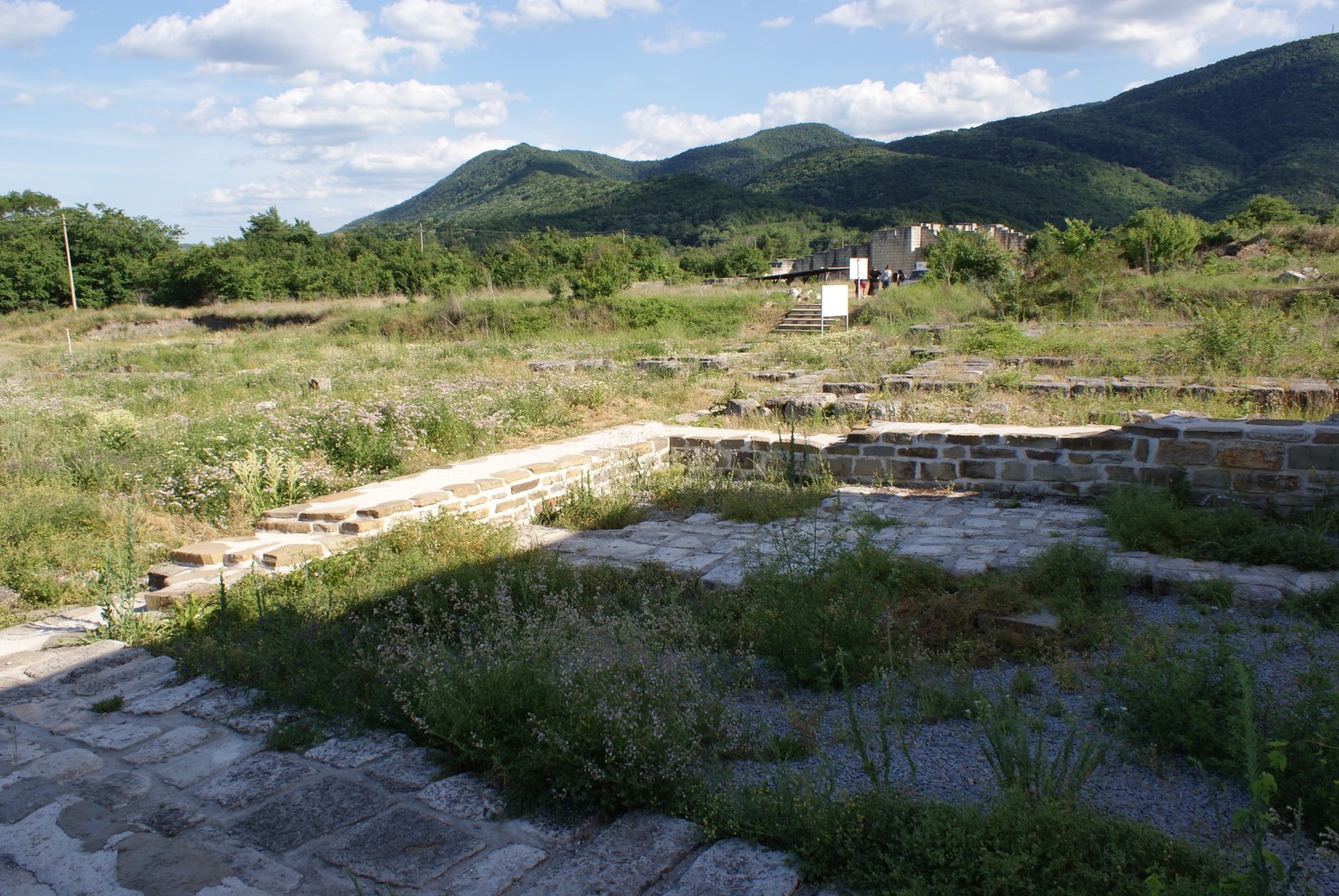 [DSC03956.JPG]