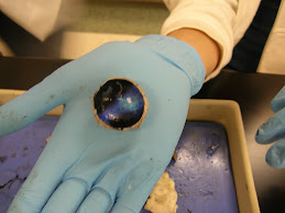 Sheep Eye Dissection