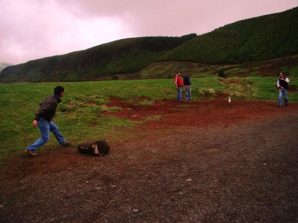 [DSC04582.JPG]