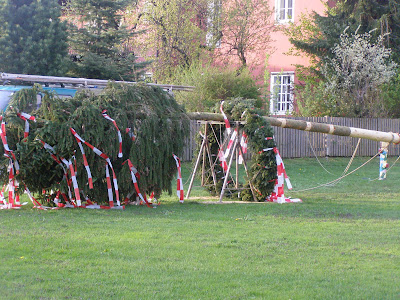 Bad St Leonhard News Vom Raunzer Maibaum Aufstellen