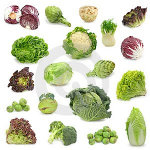 cabbage varieties