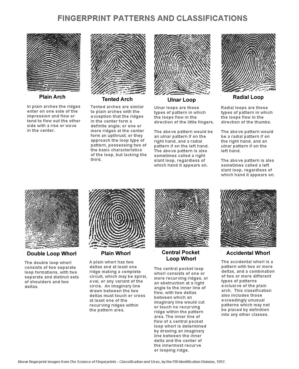 Types Of Thumbprints
