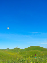 Kites