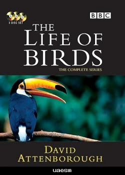 BBC - The Life Of Birds - DVD