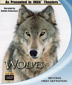 WOLVES - HD