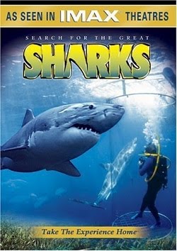 Search for the Great Sharks - HD