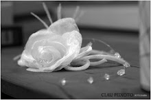 FOTOS DO CASAMENTO DE VIRGINIA E ADRIANO IGREJA NOSSA SENHORA APARECIDA BUFETT GYGA BYTE CAMPINAS