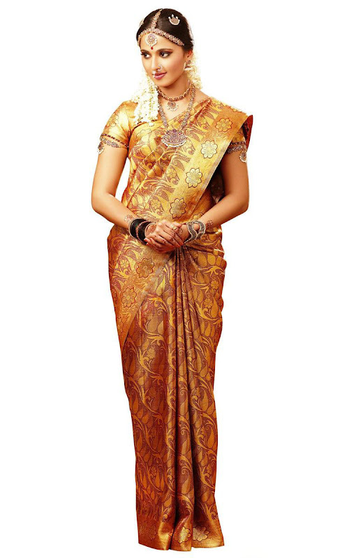 Anuska in Chennai silks ad photos navel show
