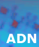 [adn.png]