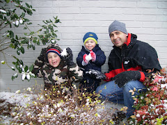 Spring Snow - March 28, 2009