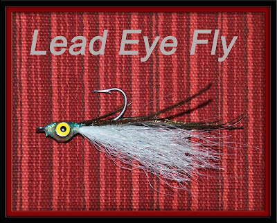 Eye Lead