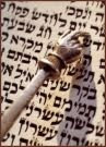 Reading Torah