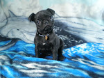 Y6 Black Female
