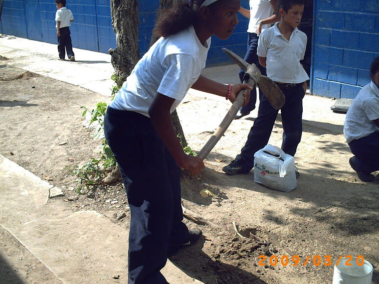 Los estudiants de 6to grado "C" mejorando el medio ambiente de la escuela construyendo 5 huertos