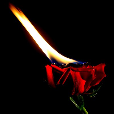 [6002fhion5fred.jpg]