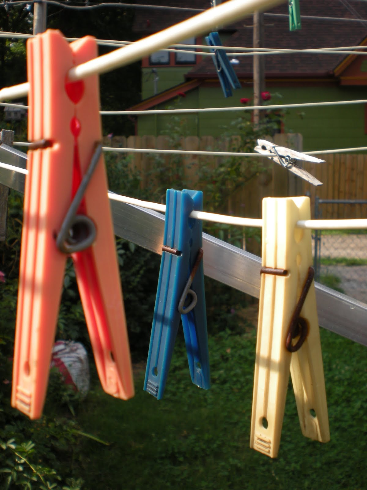 [DSCN0770.JPG]