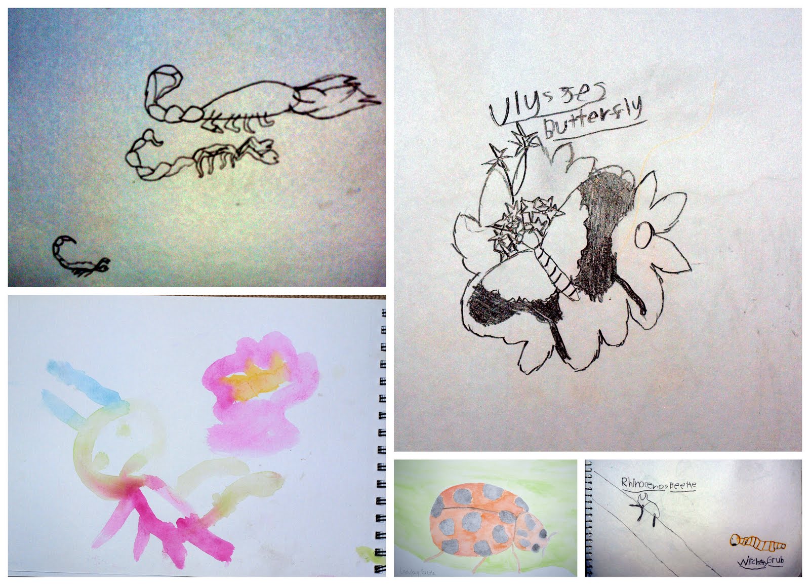 [Nature+Journal+Collage.jpg]