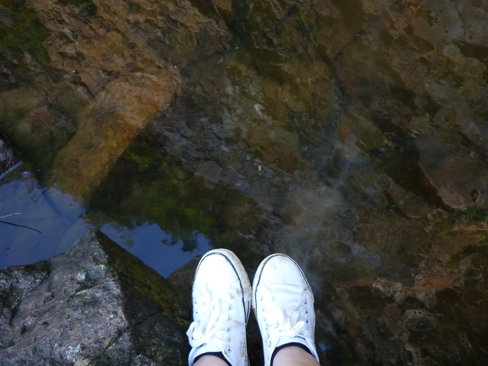[P1030886.JPG]