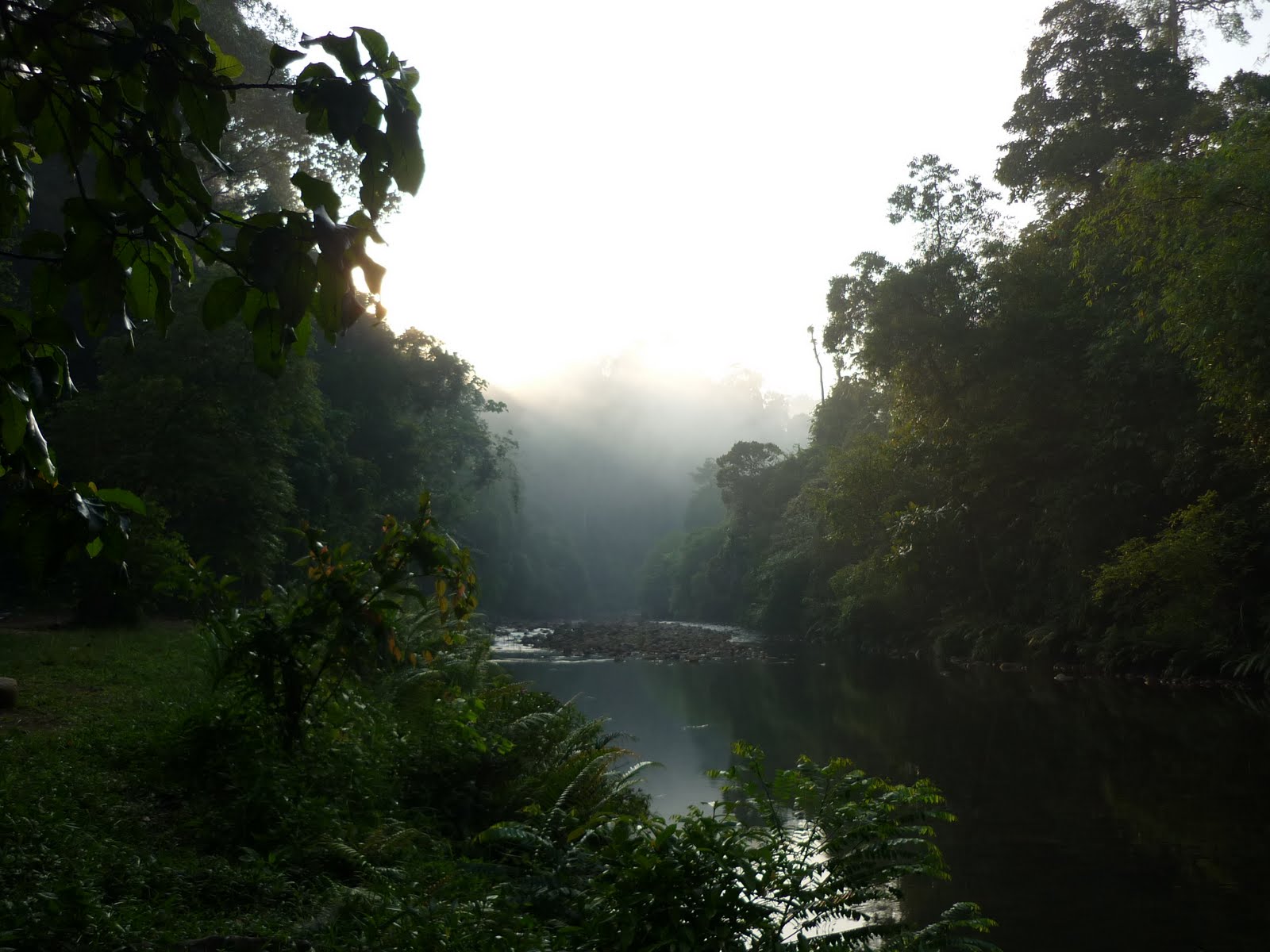 [P1030864.JPG]