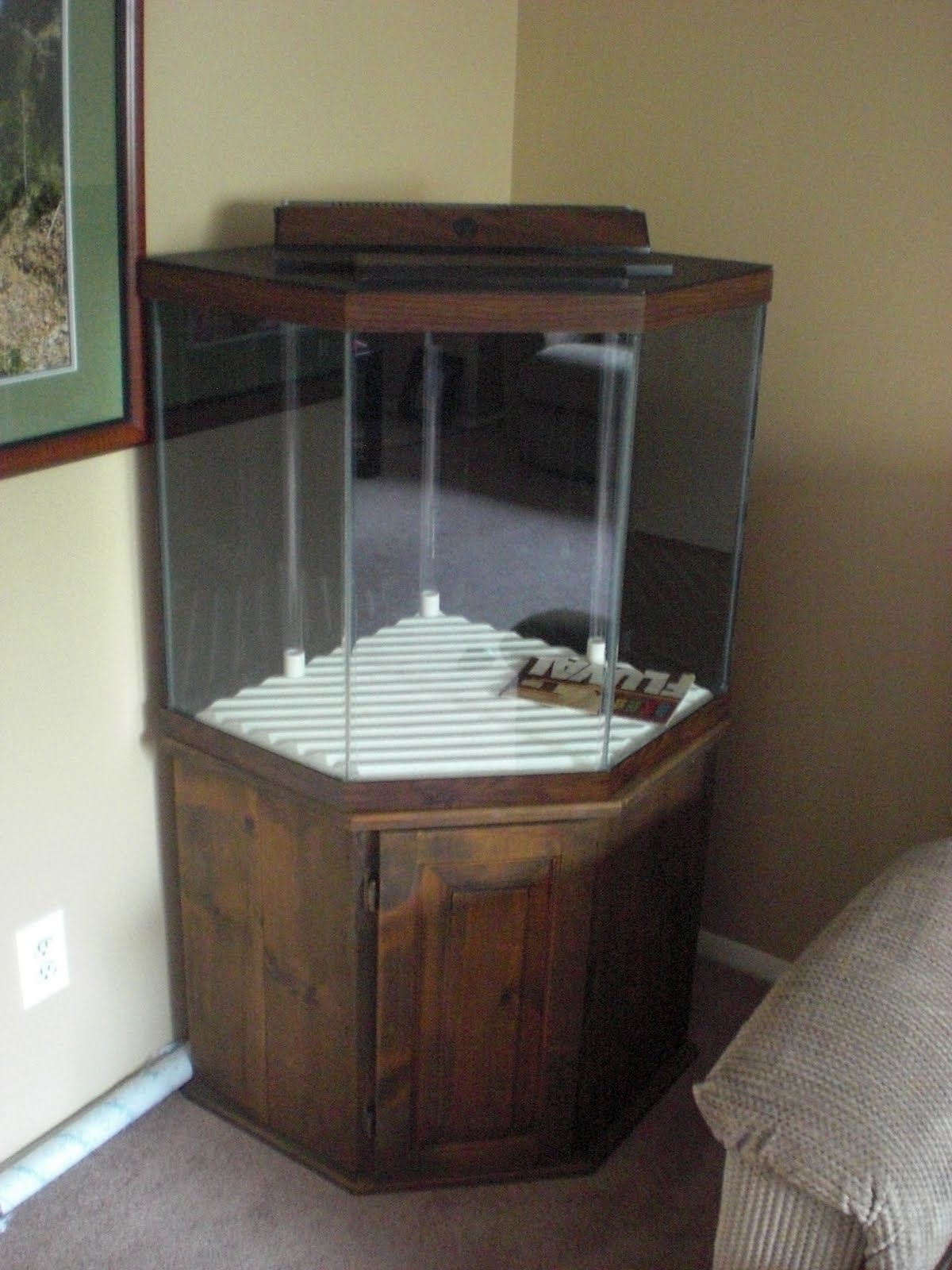 Ross' Reef The Aquarium