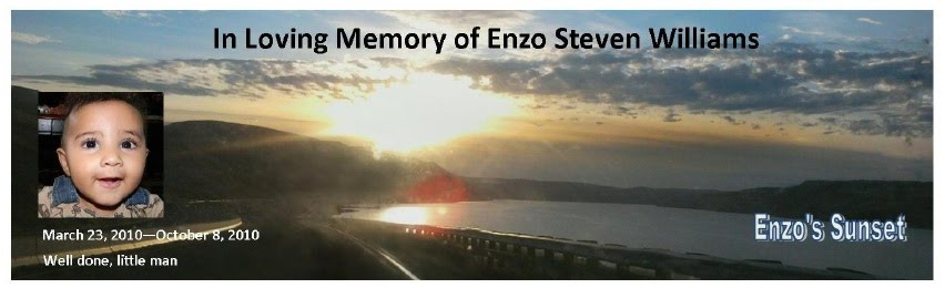 In Loving Memory of Enzo Steven Williams