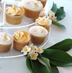 [frangipani+cupcakes+2.jpg]