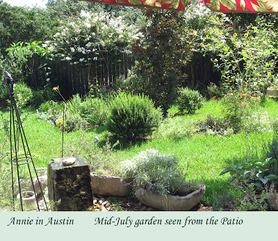 Annieinaustin, view from patio