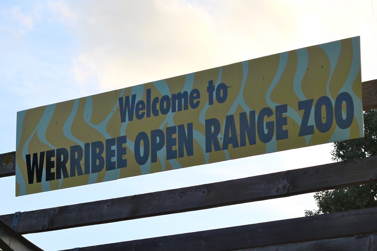 Discovering Melbourne Werribee Open Range Zoo