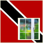 The  Trini Window