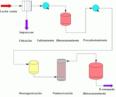 COMO ES EL PROCESO DE LA LECHE como es el proceso de la leche: