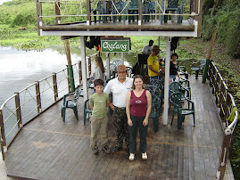 Pantanal a vida selvagem