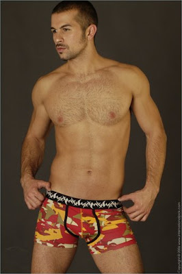 Beautiful Briefs is a blog of sexy men's underwear pics: briefs boxers bikinis jocks!