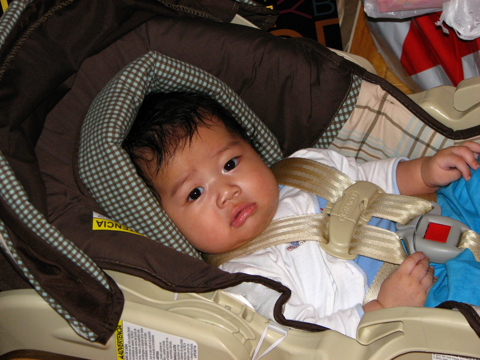[IMG_2182.JPG]