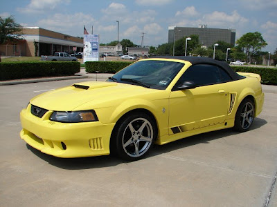 Ford Mustang 2001 Ford Mustang Gt Saleen Convertible