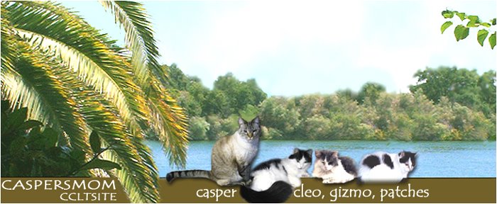 caspersmom-ccltsite