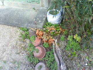 [20090316142905[1].jpg]