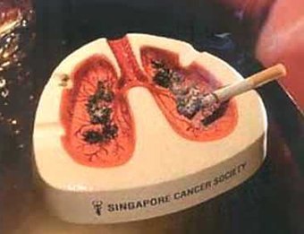 WeLcOMe tO AsbAK bLOg..