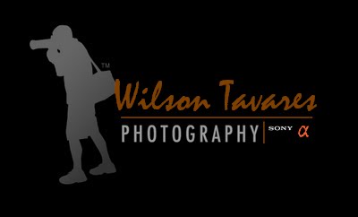WILSON TAVARES PHOTOGRAPHY